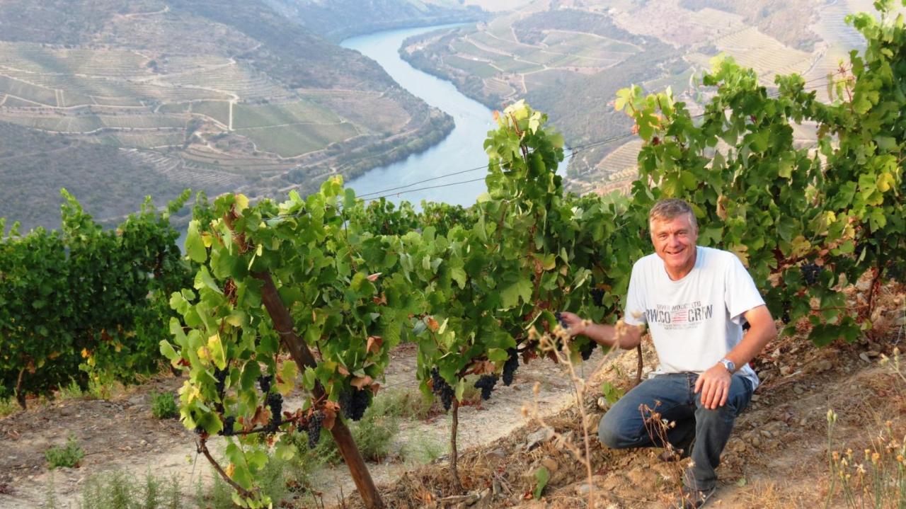 Stay At The Winemaker Ervedosa do Douro エクステリア 写真
