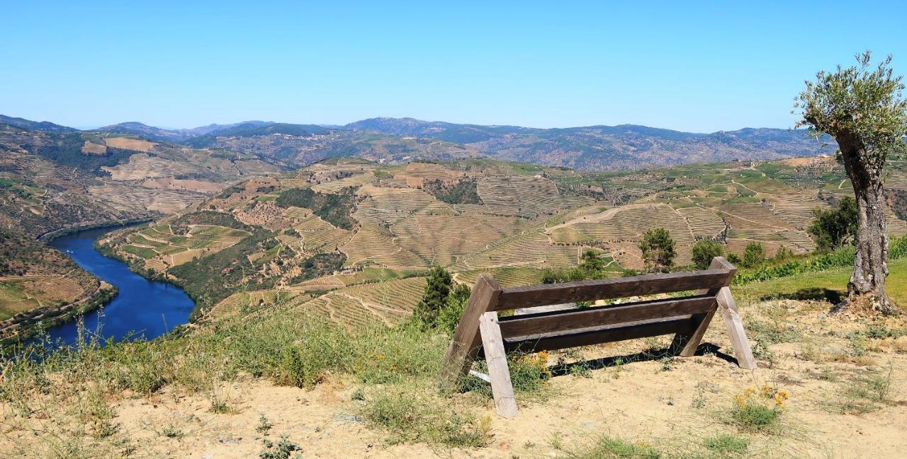 Stay At The Winemaker Ervedosa do Douro エクステリア 写真