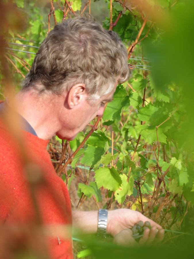 Stay At The Winemaker Ervedosa do Douro エクステリア 写真
