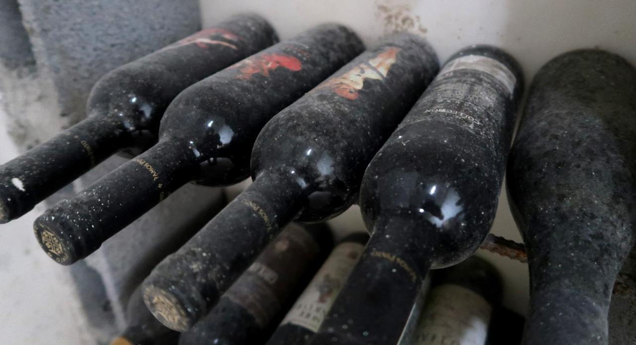 Stay At The Winemaker Ervedosa do Douro エクステリア 写真