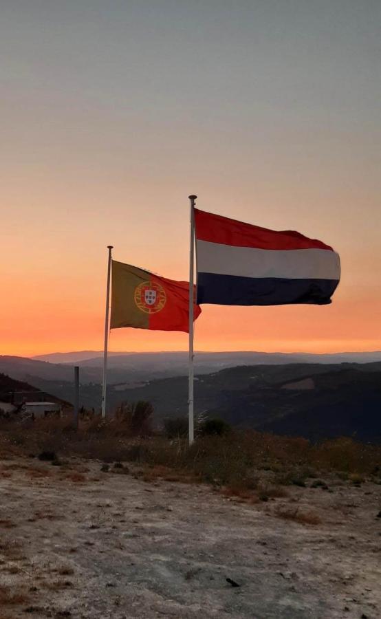 Stay At The Winemaker Ervedosa do Douro エクステリア 写真
