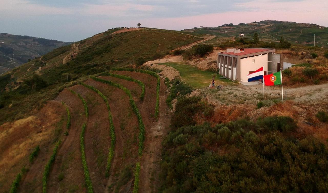 Stay At The Winemaker Ervedosa do Douro エクステリア 写真