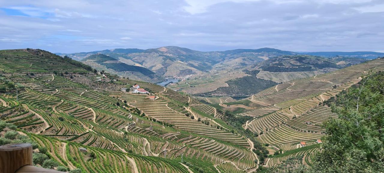Stay At The Winemaker Ervedosa do Douro エクステリア 写真