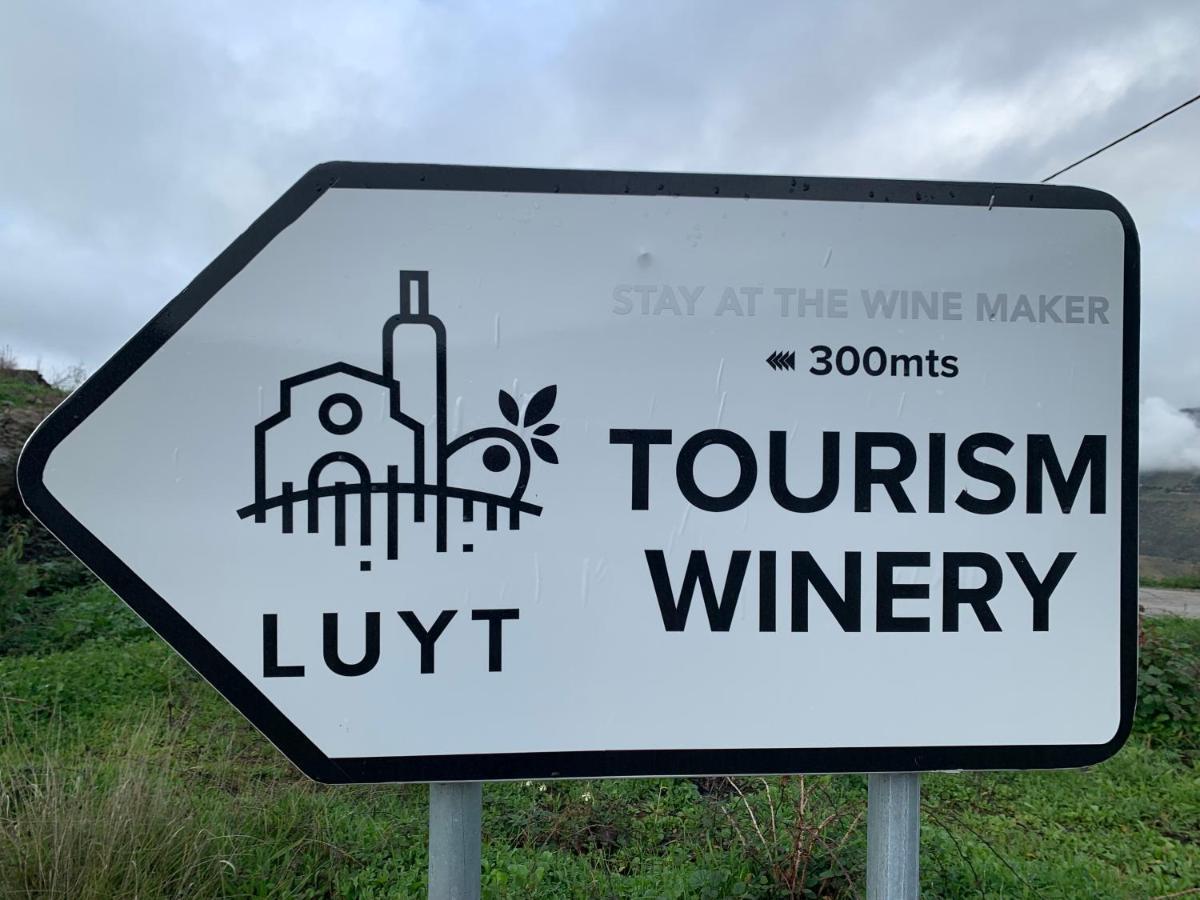Stay At The Winemaker Ervedosa do Douro エクステリア 写真