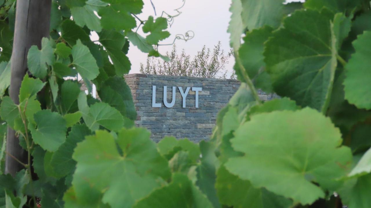 Stay At The Winemaker Ervedosa do Douro エクステリア 写真